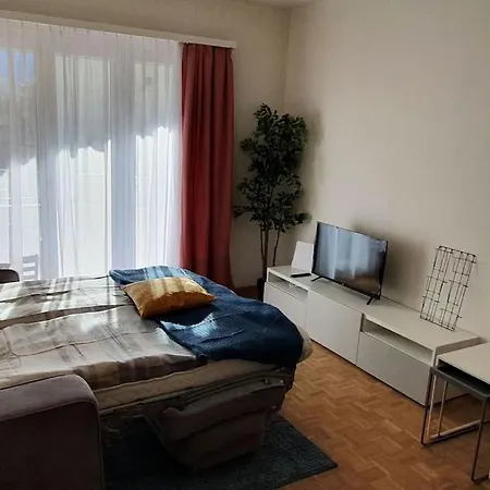 Apartment Via San Carlo In Muralto-Locarno Extérieur photo